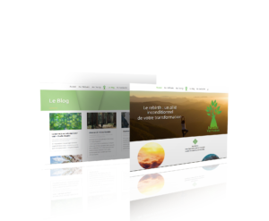 Site-marthevertueux-Mahoni_Media