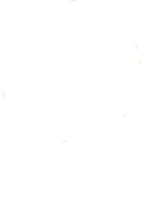 Logo blanc Mahoni Média