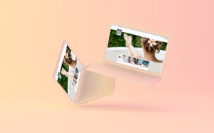 Site-SEC-Lindsay-Mahoni-Média